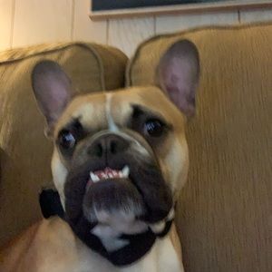 Meet your Posher, Rebecca